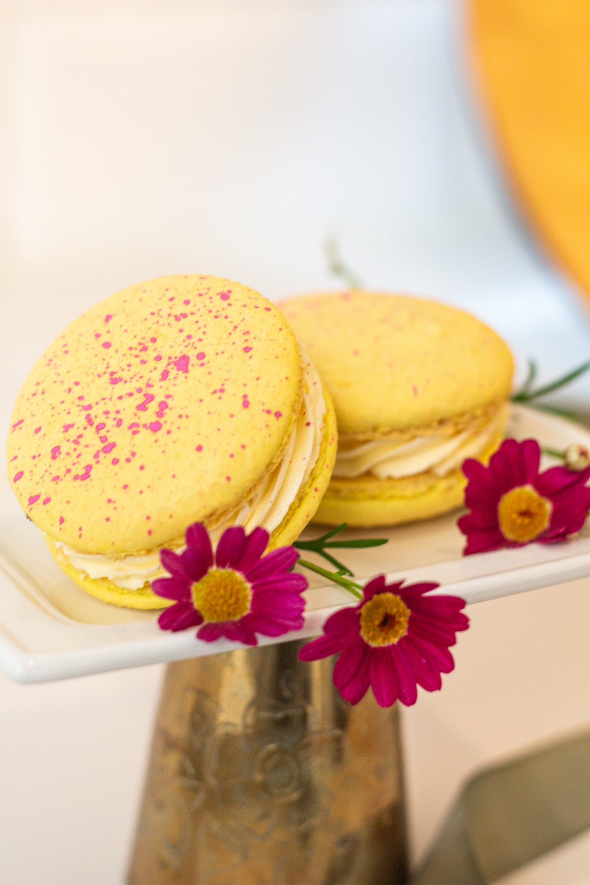 Giant Macaron Party Box