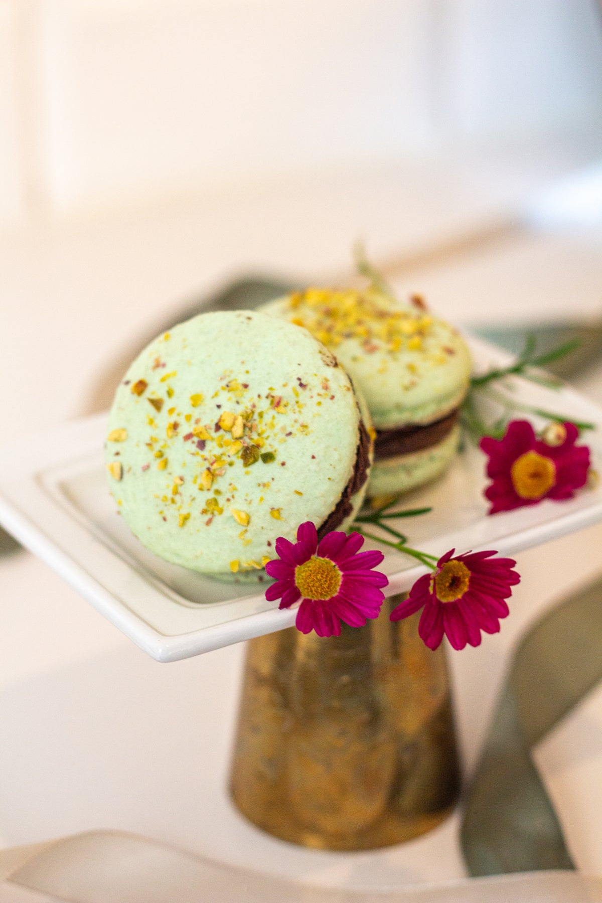 Giant Macaron Party Box